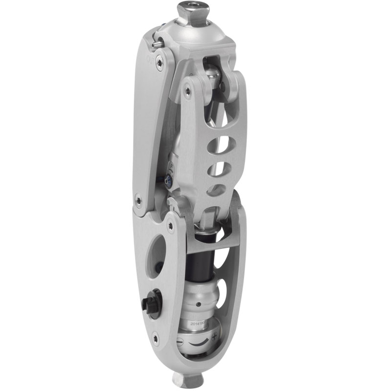 3R60 Knee Joint | Vesalius